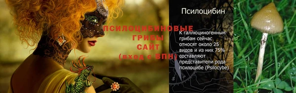 ALPHA PVP Вязьма