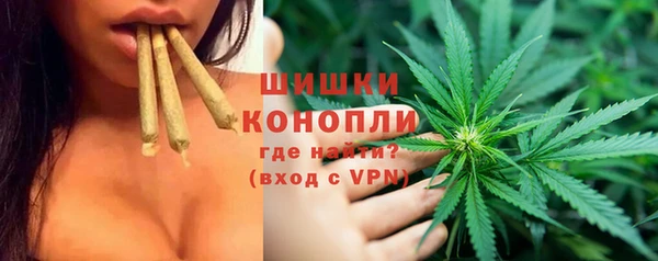 спиды Вяземский