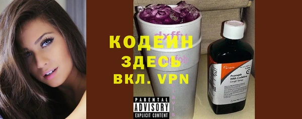 спиды Вяземский