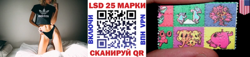 ссылка на мегу tor  купить наркоту  Ростов-на-Дону  Марки NBOMe 1500мкг 